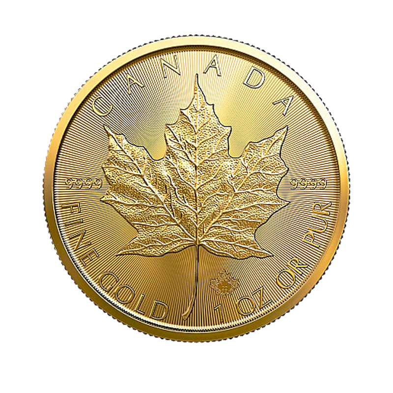 Gold Coin